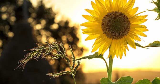 Expanding with the Seasons image