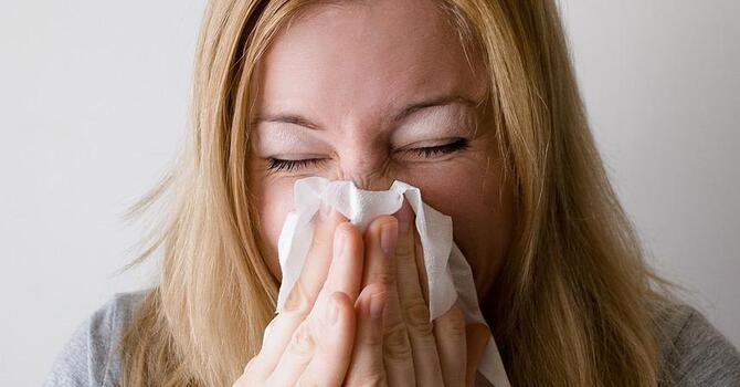 Treating Seasonal Allergies with Acupuncture  image