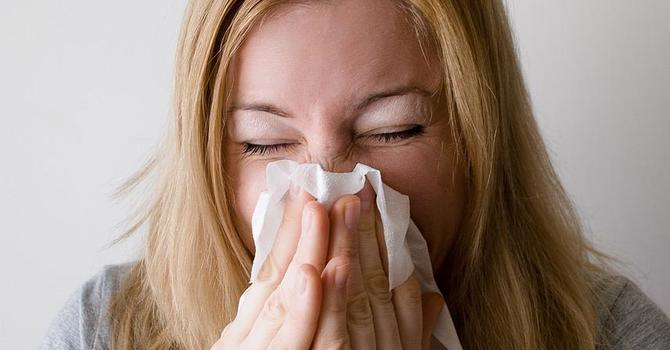 Treating Seasonal Allergies with Acupuncture  image