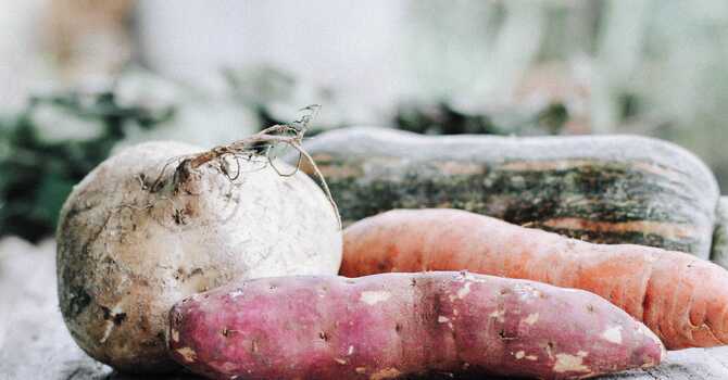 How to Boost Immunity for Autumn image