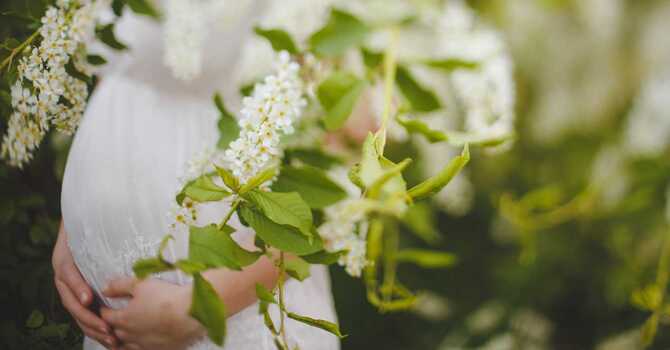 Acupuncture for Enhancing Fertility image