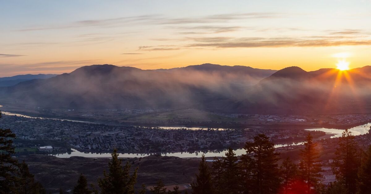 Vital Point Acupuncture & Holistic Health logo