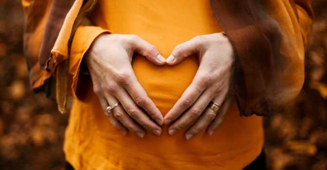 Nurturing Both Body and Baby: Ways holistic nutrition consultations can be supportive during pregnancy image